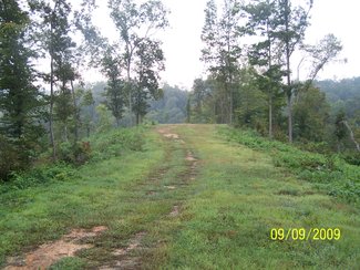 driveway and house site