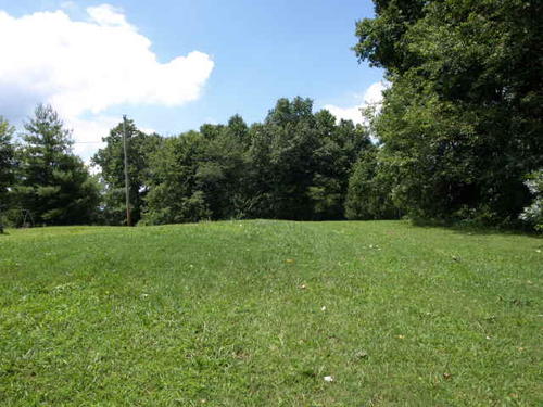 wiiliam reecer road property moss tennessee
