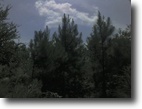 Arkansas Land 20 Acres Spring Hill Tract