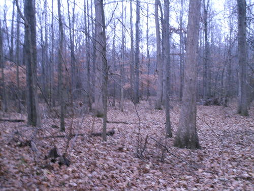 house &amp; hopkins county ky land property