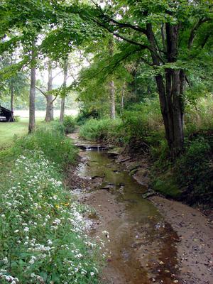 illinois hunting land for sale home acreage property