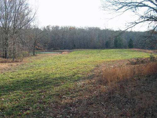 kentucky hunting land timber deal investment property crofton kansas