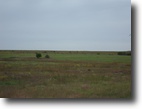 Kansas Farm Land 155 Acres Lyon County Kansas Pasture Land