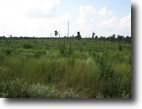 Arkansas Hunting Land 40 Acres Carlton Tract