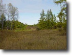 Michigan Hunting Land 36 Acres 566 North M-28  mls #1049291