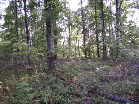 tract with great developmental potential property georgetown tennessee