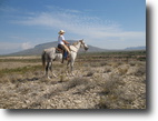 Texas Farm Land 12 Acres East Rim Ranch ( Price Reduced!)