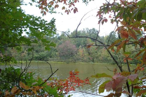 location land lake property littleton north carolina