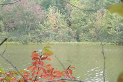 location land lake property littleton north carolina