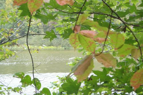 location land lake property littleton north carolina