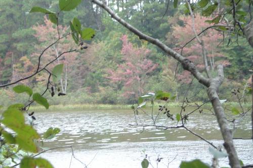 location land lake property littleton north carolina