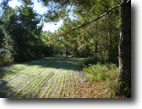 260 Acre Prime Hunting Preserve in S. GA