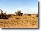 Arizona Farm Land 20 Acres 20ac.Lots. One or All. Reduced to Sell !