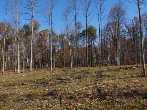 tract land ridge lane investment property monterey tennessee