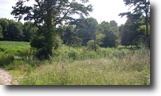 25 Acres in Cleveland GA $13,000 per acre