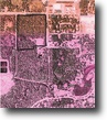 37.84 Prime Acres- Price Reduction!