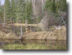 Missouri Hunting Land 80 Acres TBD Off Wolf Lake Rd. N. 1/2 MLS #1049947