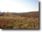 Middle TN, 15-20 acres-Near Nashville