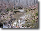 Wooded 78.3 Acres m/l with Turkey Creek