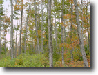 New York Land 824 Acres Stillwater Brook Forest