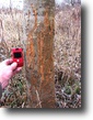 Illinois Hunting Land 99 Acres Illinois Hunting Land/Property For Sale
