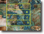 Kansas Farm Land 40 Acres Gobble, Gobble, Gobble!  Hunter's Dream!