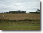 20 Acre Homesite in S. GA