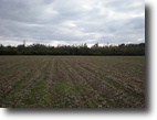 Very Private 20 Acre Multiple Use Tract