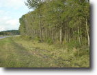 72 Acre Hunting/Recreational Tract