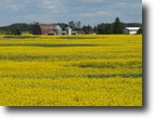 Saskatchewan Farm Land 320 Acres Yorkton Sask.area farm at Buchanan