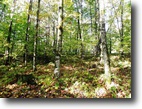 Vermont Land 149 Acres Sledding Hill Forest