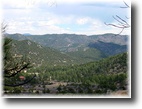Colorado Hunting Land 35 Acres Wildlife Love these Woods!