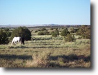 Arizona Ranch Land 378 Acres Turn Key  Ranch/Farm - $2370.00 per ac.!!!