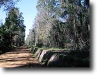 Florida Hunting Land 44 Acres Davis Estate