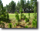 North Carolina Land 1 Acres Ready to Build Golf Front Lot