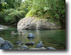 165 acres of waterfront Hunting Property