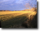 40 acres for sale in Central Wisconsin