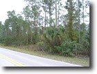 Florida Land 3 Acres Land For Sale In Naples,Fl