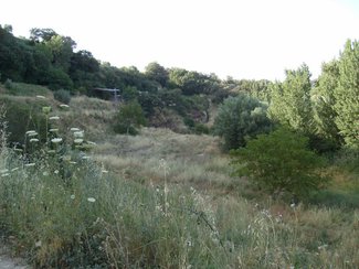 land