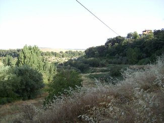 land