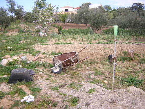 land 