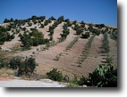 Spain Farm Land 72 Square Meters Tranquility