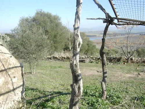 land 