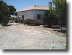Spain Farm Land 25 Square Meters sunflowers savilla montillano