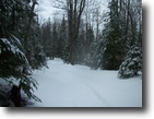 80 Acres off Highway 48 - Pickford, MI