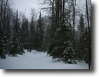 53 Acres on Highway 134 - Cedarville, MI