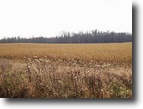 Kentucky Farm Land 23 Acres Nice pasture or Building Site
