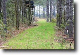 Florida Hunting Land 184 Acres Ham Pond