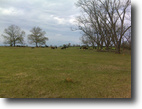 High Point Farm - 1578 Acres - Houston Co.