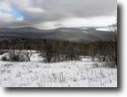 Vermont Land 174 Acres Chaffee Mountain Forest
